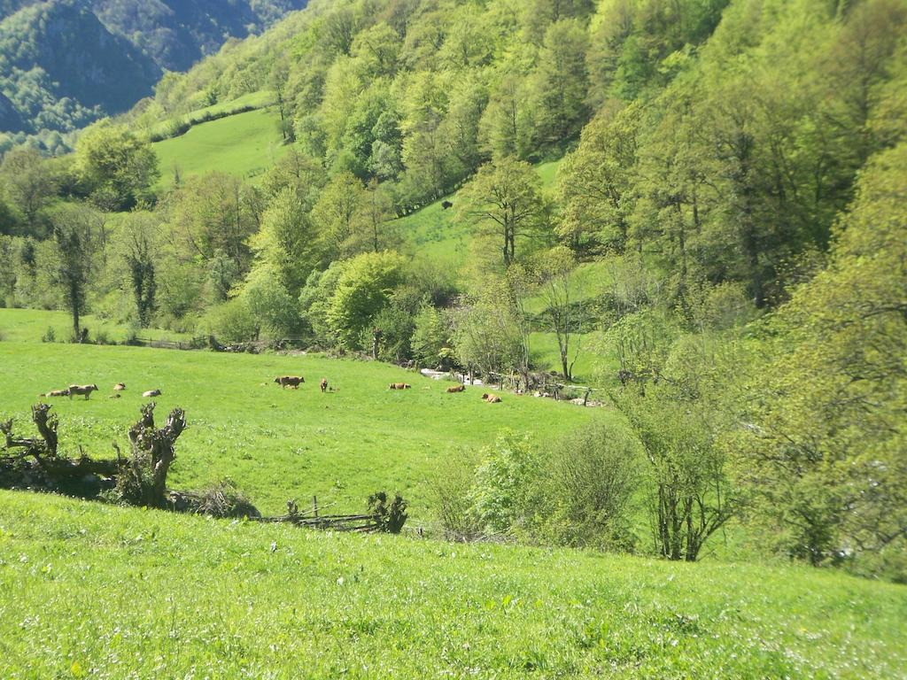 Venta La Aurora Villa Beleño Cameră foto